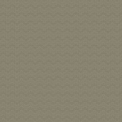 Itsy Bits Ripple Greige 1458C | Renee Nanneman | Quilting Cotton Fabric