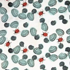 Beetles and Shells