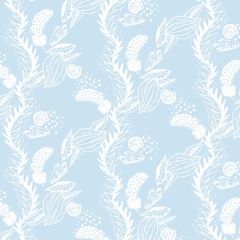 Feather and Snail