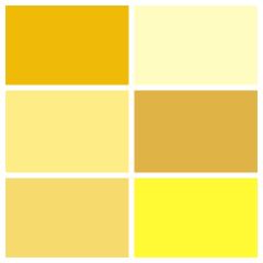 Spectrum Solids Fat Quarter Bundle: Saturn Yellows | Quilting Cotton