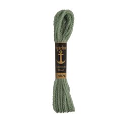 Anchor Tapisserie Tapestry Wool: 9076 | Thread & Yarn