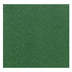 Woolfelt: Hunter