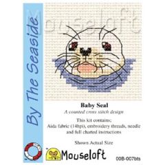 Baby Seal by the Seaside