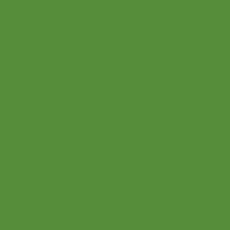 Spectrum: Grass 2000/G57 | Makower | Quilting Cotton